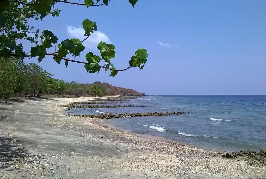 Taman Dewi Sri Villa Et Bungalow ペムテラン エクステリア 写真
